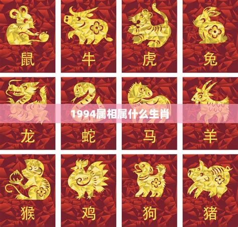 1994年屬什麼生肖|1994年属什么生肖配对 1994年和什么属相最配